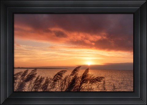 Framed Living Belief Print
