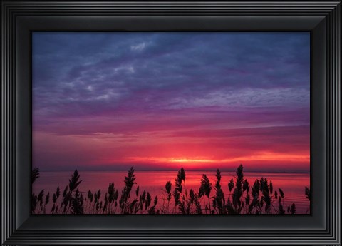 Framed Change Of Purpose Print