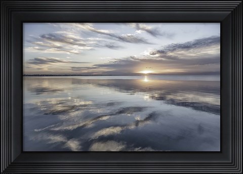 Framed Fronts Of Spirits Print