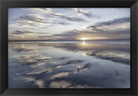 Framed Fronts Of Spirits Print