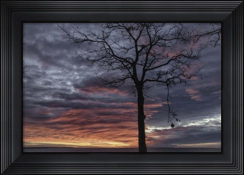 Framed Distorted Solution Print