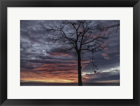 Framed Distorted Solution Print