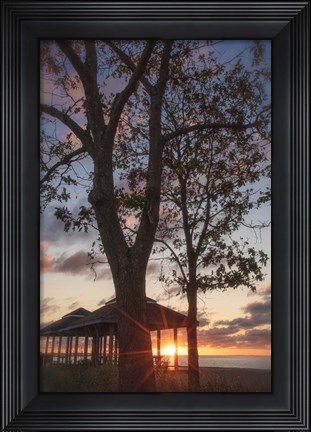 Framed Fragile Shadows Print
