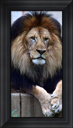 Framed Strength And Dedication Print