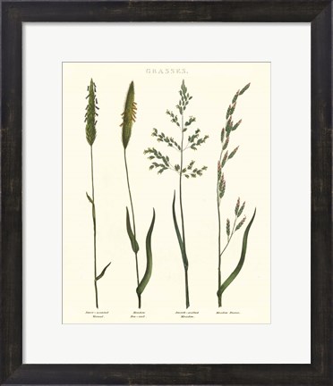 Framed Herbal Botanical Study I Ivory Print
