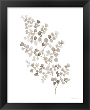 Framed Maidenhair Fern Khaki Print