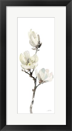 Framed White Magnolia I Panel Print