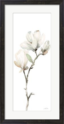 Framed White Magnolia II Panel Print
