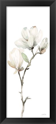 Framed White Magnolia II Panel Print