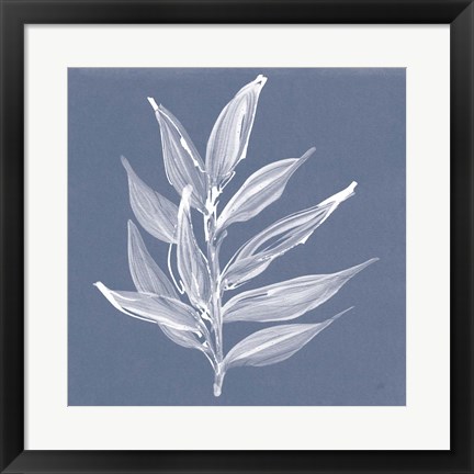 Framed Leaf Study IV Blue Print