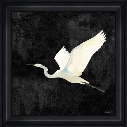 Framed Egret Alighting II Flipped Black Print