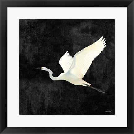 Framed Egret Alighting II Flipped Black Print