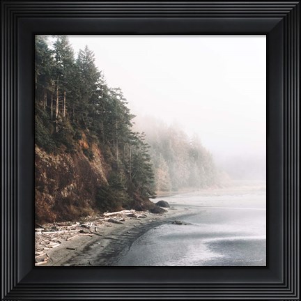 Framed Salt Creek III Color Print