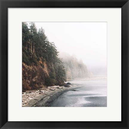 Framed Salt Creek III Color Print