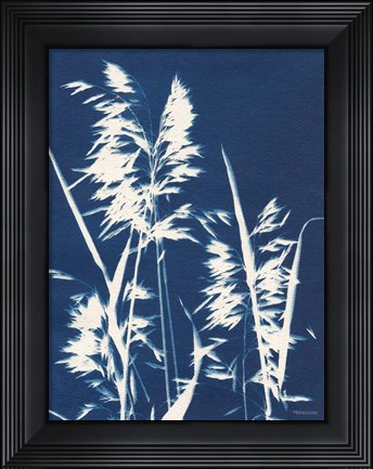 Framed Ornamental Grass VI Print