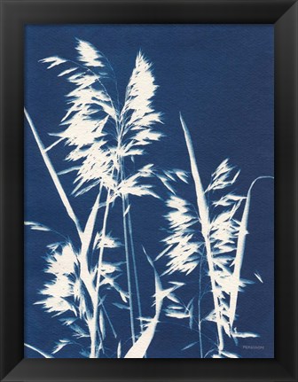 Framed Ornamental Grass VI Print