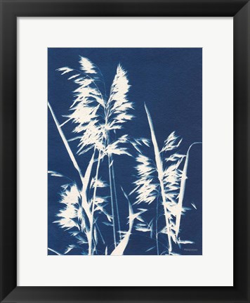 Framed Ornamental Grass VI Print