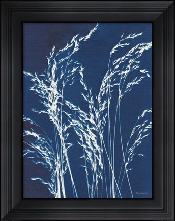 Framed Ornamental Grass V Print