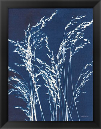 Framed Ornamental Grass V Print