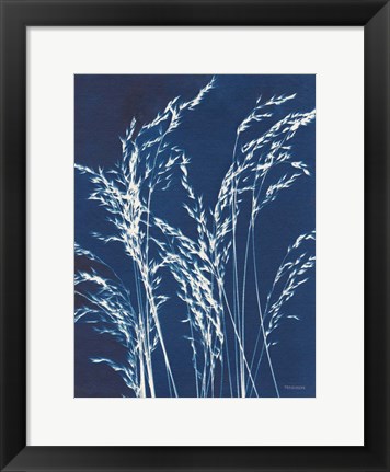 Framed Ornamental Grass V Print