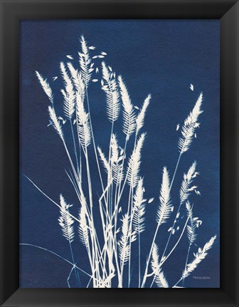 Framed Ornamental Grass III Print