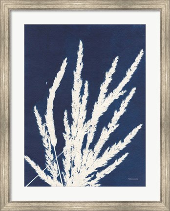 Framed Ornamental Grass II Print
