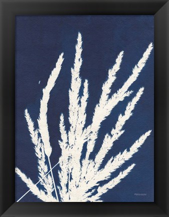 Framed Ornamental Grass II Print