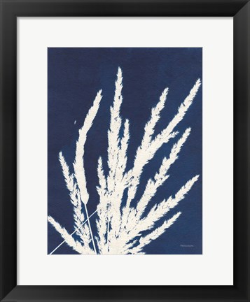 Framed Ornamental Grass II Print