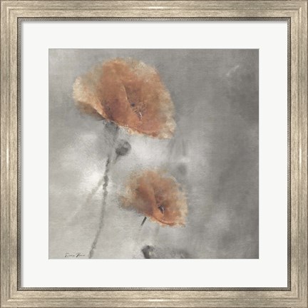 Framed Two Poppies 1 Print