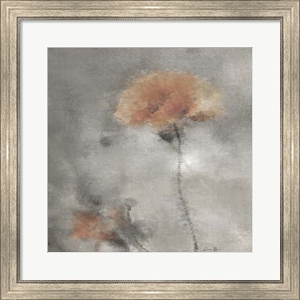 Framed Two Poppies 2 Print
