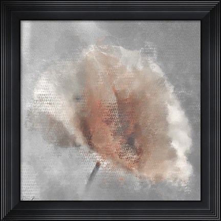 Framed Single Poppy 1 Print