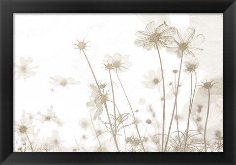 Framed Wildflowers Print