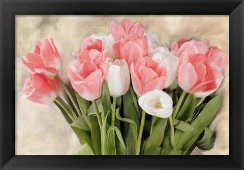 Framed Pink And White Tulips Print