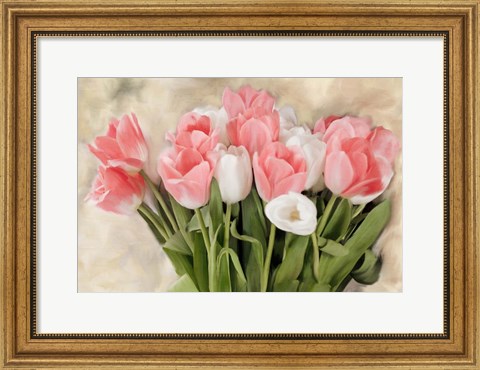 Framed Pink And White Tulips Print
