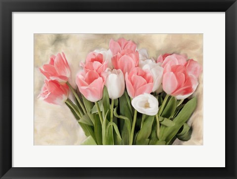 Framed Pink And White Tulips Print