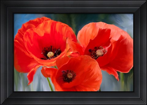Framed Poppy Trio Print