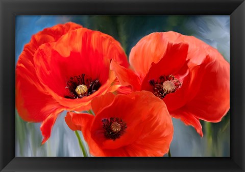 Framed Poppy Trio Print