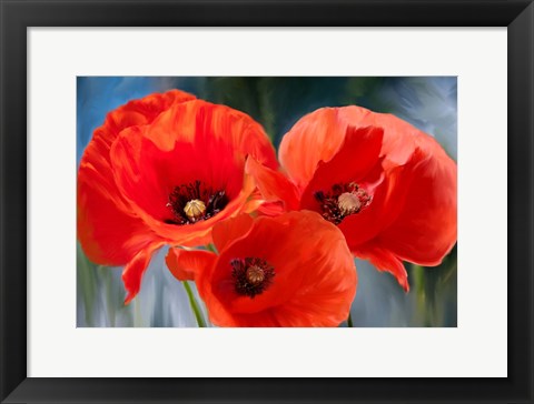 Framed Poppy Trio Print