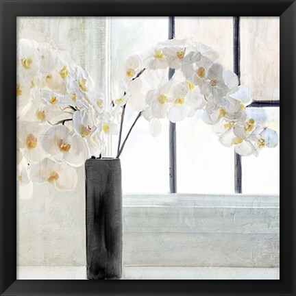 Framed Orchid Window Print