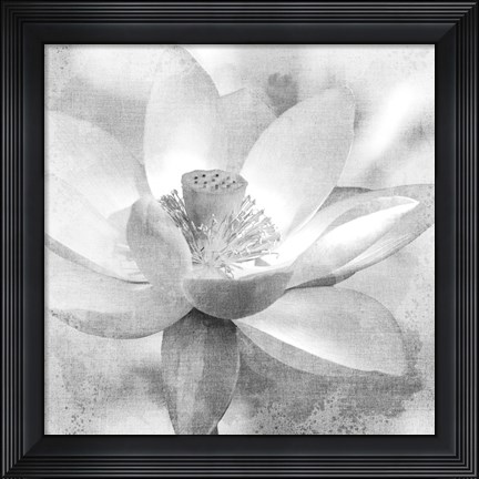 Framed Lotus Print