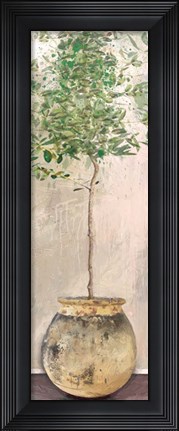 Framed Dracaena Print