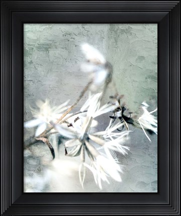 Framed Autumn Foliage 2 Print