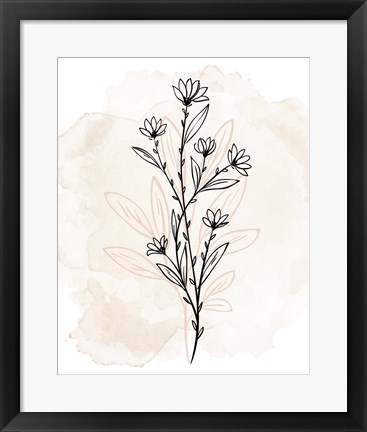 Framed Floral Sketch 2 Print