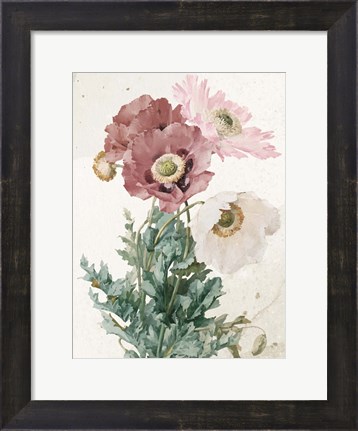Framed Vintage Flower Print
