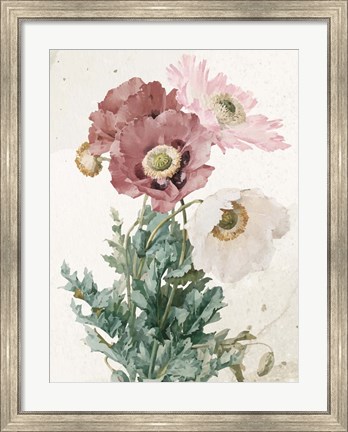 Framed Vintage Flower Print