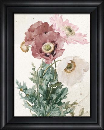 Framed Vintage Flower Print