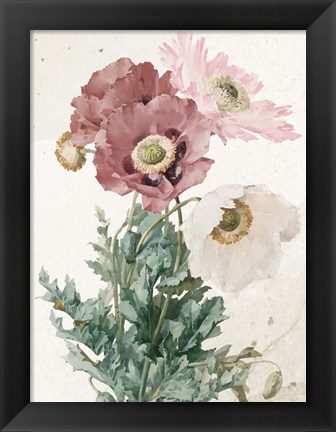 Framed Vintage Flower Print