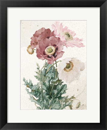 Framed Vintage Flower Print