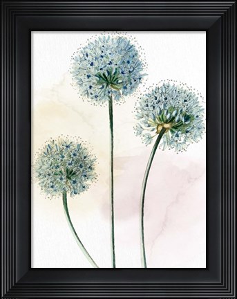 Framed Watercolor Dandelion Print