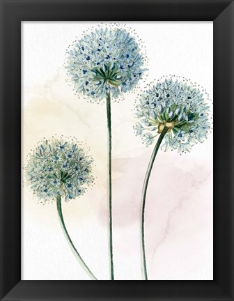 Framed Watercolor Dandelion Print